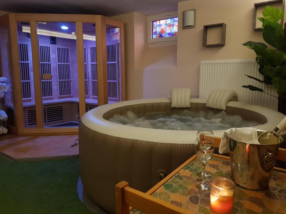 Vila Nejdek - Erzgebirge Aparthotel Ngoại thất bức ảnh