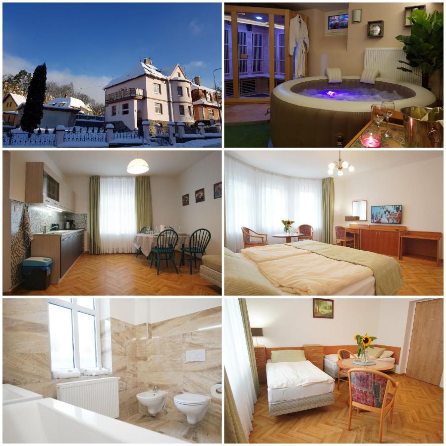 Vila Nejdek - Erzgebirge Aparthotel Ngoại thất bức ảnh